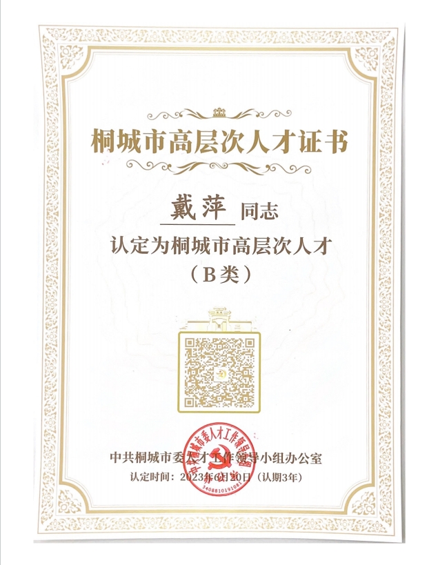 桐城市高层次人才证书